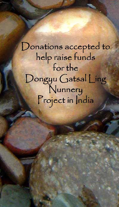 Dongyu Gatsal Nunnery Project for Tibetian & other nuns in India