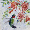 hummigbird