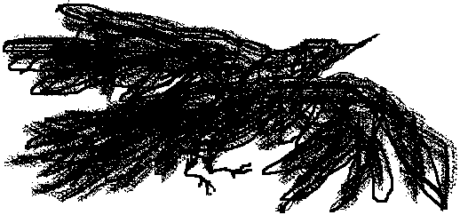 electric charcoal blackbird sketch