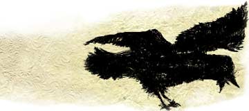 graphic blackbird