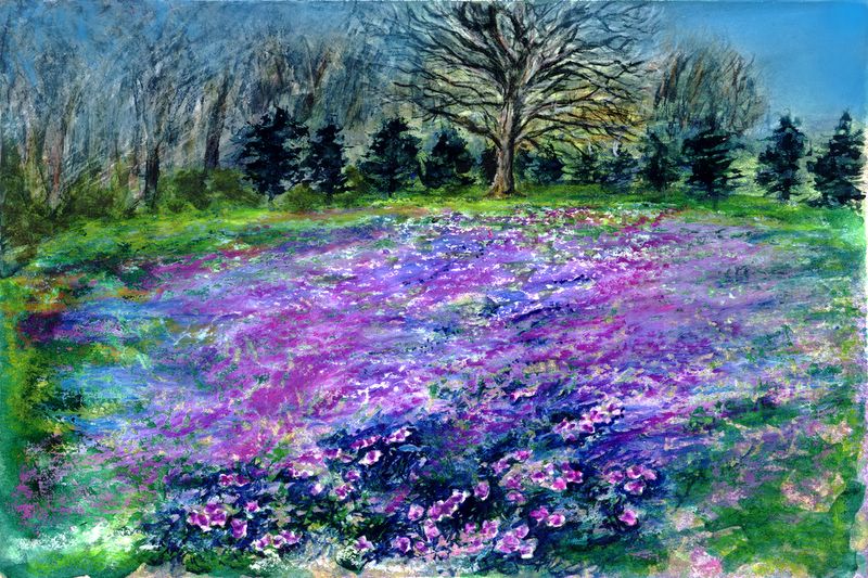 pastel violets Newton FAlls