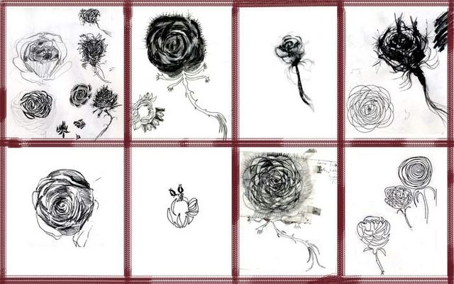 dozens of sketches of roses